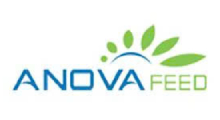 Logo Anova